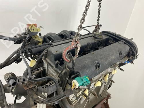 Engine FORD FIESTA VI (CB1, CCN) 1.25 | BP29030644M1