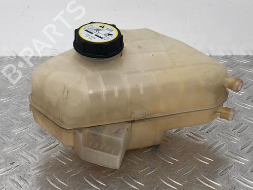 Used Expansion tank FORD FIESTA VI (CB1, CCN) 1.25 (60 hp) 29034215