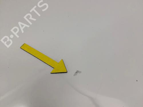 Hood PEUGEOT EXPERT Van (VF3A_, VF3U_, VF3X_) 2.0 HDi 130 | BP29035679C1 