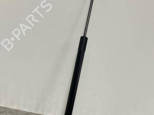Used Tailgate lift support VW GOLF VII (5G1, BQ1, BE1, BE2) 1.2 TSI (110 hp) 29037197