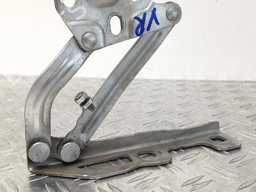 Hinge/Door check strap OPEL CORSA D (S07) 1.2 (L08, L68) | BP29031600C146 