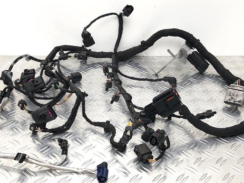 Ledningsnett VW TIGUAN (AD1, AX1) 1.4 TSI (150 hp) 29034191