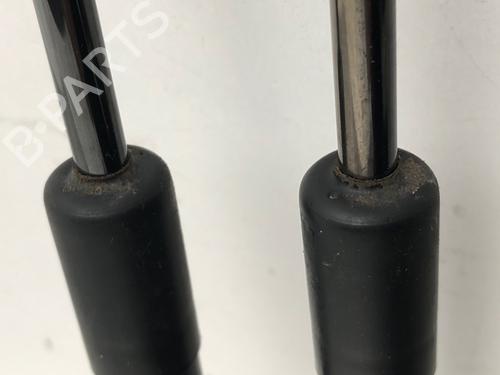 Tailgate lift support NISSAN MICRA III (K12) 1.2 16V | BP29035563C138 