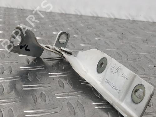 Hinge/Door check strap CITROËN DS3 (SA_) 1.6 THP 155 | BP29035955C146 