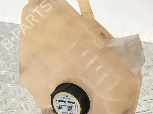 Expansion tank FORD FIESTA VI (CB1, CCN) 1.25 | BP29033103C120 
