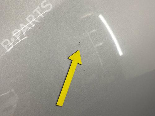 Hood HYUNDAI i10 I (PA) 1.1 | BP29031042C1 