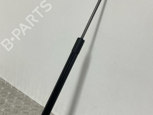 Tailgate lift support VW GOLF VII (5G1, BQ1, BE1, BE2) 1.2 TSI | BP29037197C138 