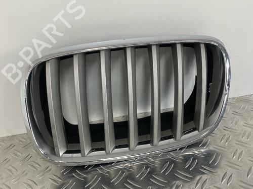 Grille BMW X5 (E70) 3.0 si | BP29031656C40 