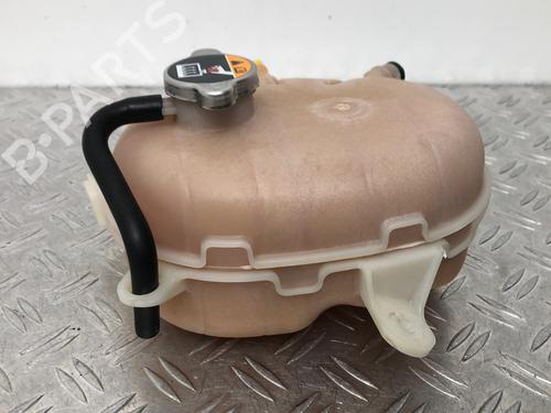 Expansion tank HYUNDAI i20 III (BC3, BI3) 1.0 T-GDI | BP29400871C120 