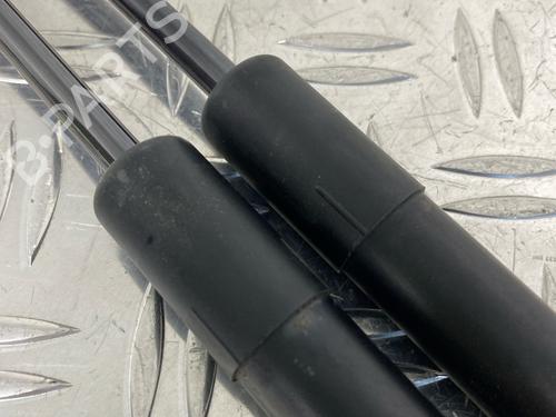 Tailgate lift support FORD FIESTA VI (CB1, CCN) 1.25 | BP29036696C138 