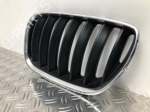 Grille BMW X5 (E53) 3.0 d | BP29033446C40 