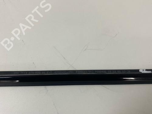Door moulding trim BMW 3 Coupe (E92) 330 i | BP29031926C150 