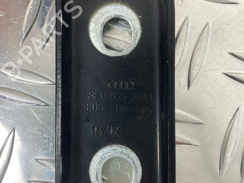 Hinge/Door check strap AUDI A3 (8P1) 1.2 TSI | BP29036798C146 