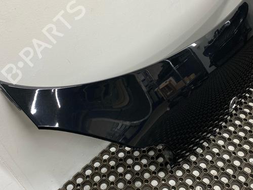 Hood SMART FORTWO Coupe (451) 1.0 (451.331, 451.380) | BP29032644C1 