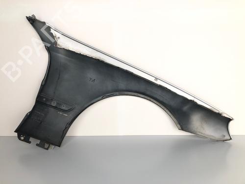 Left front fenders MERCEDES-BENZ S-CLASS Coupe (C215) CL 600 (215.376) | BP30852694C41
