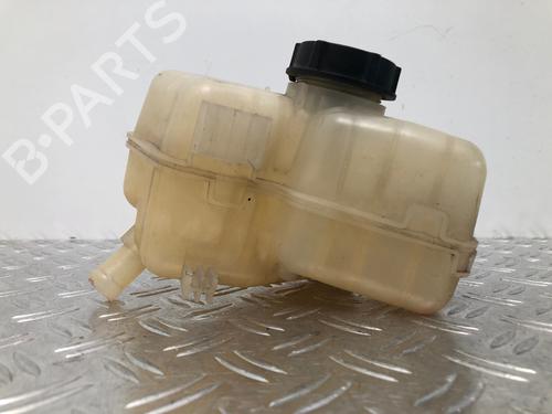 Expansion tank FORD FIESTA VI (CB1, CCN) 1.25 | BP29034215C120 