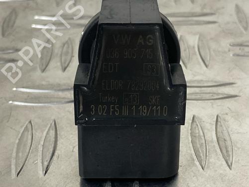 Ignition coil SEAT IBIZA IV (6J5, 6P1) 1.4 | BP29036030M94 