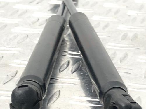 Tailgate lift support KIA PICANTO II (TA) 1.2 | BP29031359C138 