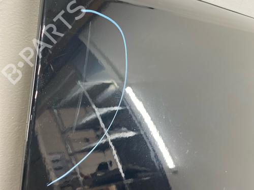Left front door SMART FORTWO Coupe (451) 1.0 (451.331, 451.380) | BP29032164C2 