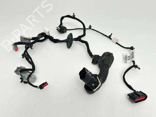 Used Wiring harness Wiring harness FORD C-MAX II (DXA/CB7, DXA/CEU) 2.0 TDCi (115 hp) 35957261 35957261