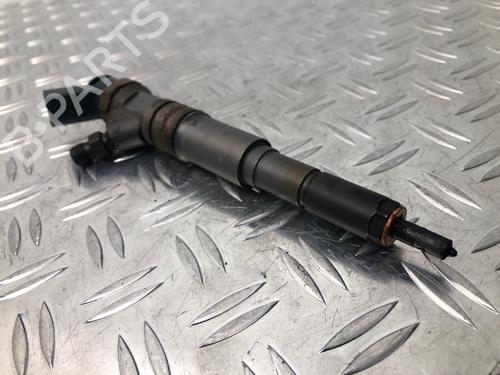 Injector BMW 3 (E46) 320 d | BP29036325M100