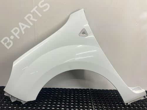 Used Left front fenders RENAULT KANGOO Express (FW0/1_) Z.E. (FW0Z, FW1Z) (60 hp) 29034052