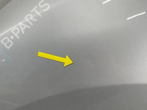 Left front fenders RENAULT MEGANE III Grandtour (KZ0/1) 1.5 dCi (KZ1M, KZ1W, KZ0R) | BP29032653C41 