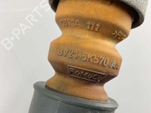 Left rear shock absorber FORD FIESTA VI (CB1, CCN) 1.25 | BP29031949M18 