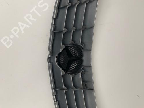 Grille MERCEDES-BENZ B-CLASS Sports Tourer (W245) B 170 (245.232) | BP29032947C40 