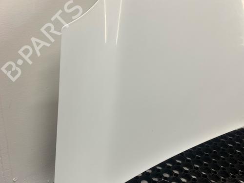 Hood RENAULT KANGOO Express (FW0/1_) Z.E. (FW0Z, FW1Z) | BP29030548C1 
