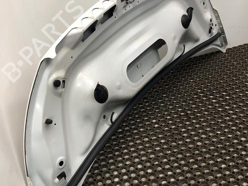 Hood PEUGEOT EXPERT Van (VF3A_, VF3U_, VF3X_) 2.0 HDi 130 | BP29035679C1 