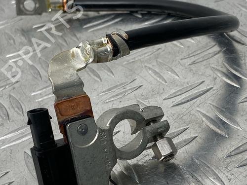 Used Wiring harness BMW 1 (F20) 116 d (116 hp) 29031882