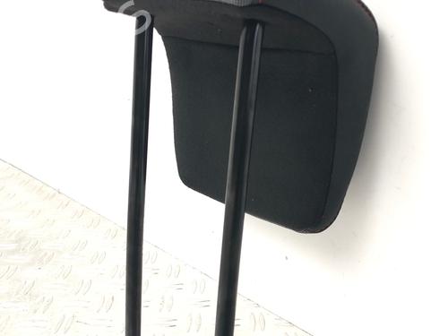 Headrest RENAULT SCÉNIC III (JZ0/1_) 1.2 TCe | BP29033452I31 