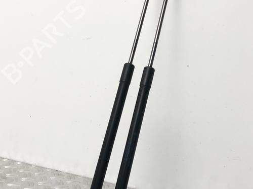 Used Tailgate lift support FORD FIESTA VI (CB1, CCN) 1.25 (82 hp) 29031484