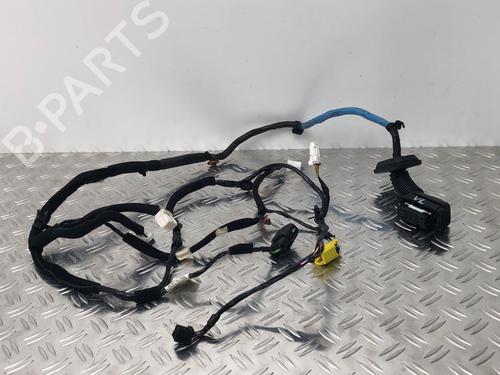 Used Wiring harness HYUNDAI i20 II (GB, IB) 1.2 (84 hp) 29035148
