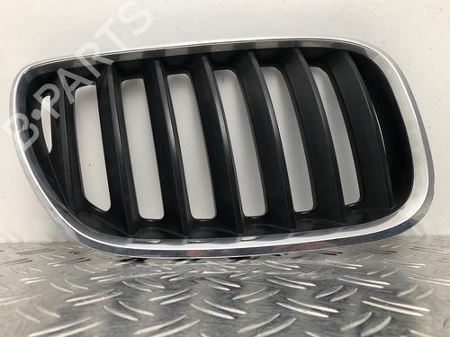 Used Grille BMW X5 (E53) 3.0 d (184 hp) 29036113