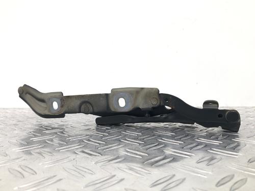 Hinge/Door check strap BMW 3 Coupe (E92) 335 i | BP29037168C146 