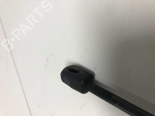 Tailgate lift support FORD FIESTA VII (HJ, HF) 1.1 Ti-VCT | BP29032878C138 