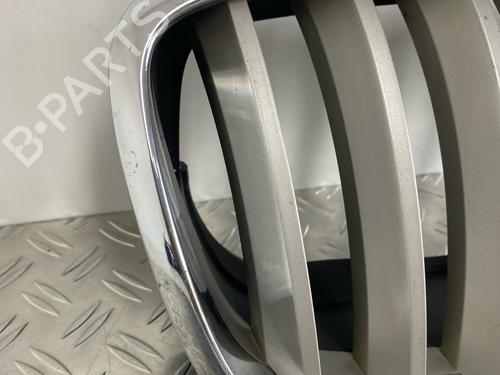 Grille BMW X5 (E70) 3.0 si | BP29037059C40 