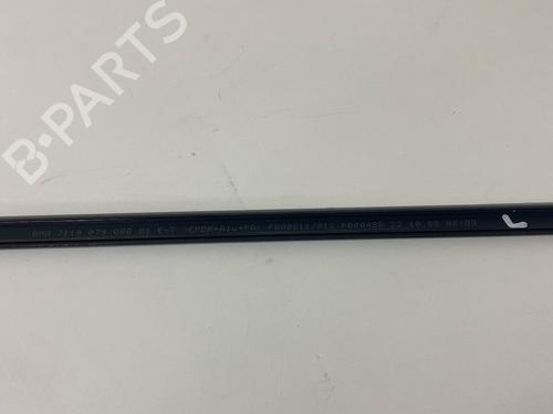 Door moulding trim BMW 3 Coupe (E92) 330 i | BP29031099C150 