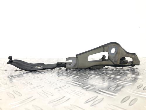 Hinge/Door check strap BMW 3 Coupe (E92) 335 i | BP29034666C146 