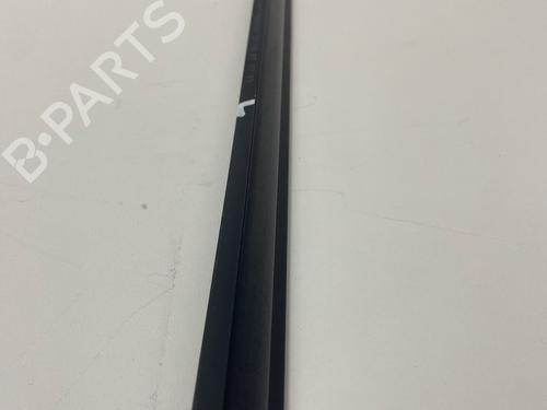 Door moulding trim BMW 3 Coupe (E92) 330 i | BP29031099C150 