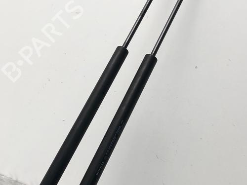 Used Tailgate lift support RENAULT TWINGO III (BCM_, BCA_) 1.0 SCe 70 (71 hp) 29032552