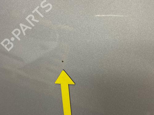 Hood HYUNDAI i10 I (PA) 1.1 | BP29031042C1 