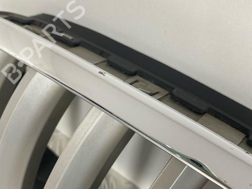 Grille BMW X5 (E70) 3.0 si | BP29031656C40 