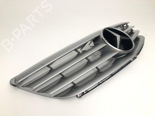 Grille MERCEDES-BENZ B-CLASS Sports Tourer (W245) B 170 (245.232) | BP29032947C40 
