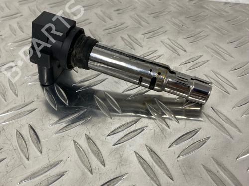 Ignition coil SEAT IBIZA IV (6J5, 6P1) 1.2 | BP29036005M94 