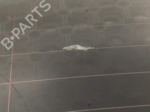 Bootlid window BMW 5 Touring (E61) 525 d | BP29034563C64 