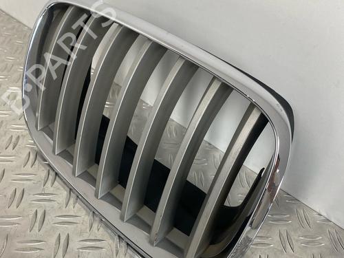 Grille BMW X5 (E70) 3.0 si | BP29037059C40 