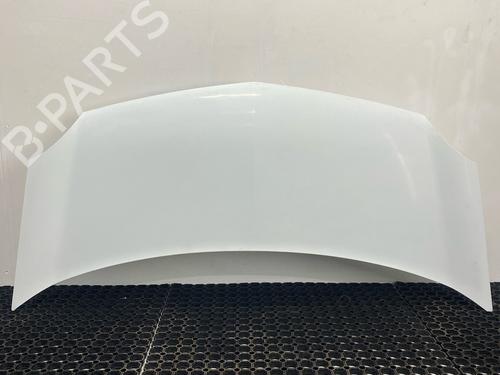 Used Hood RENAULT KANGOO Express (FW0/1_) Z.E. (FW0Z, FW1Z) (60 hp) 29030548